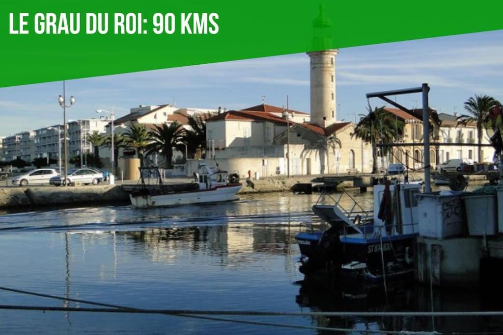 Serenite - Appartement Climatise Au Calme - Wifi Avignone Esterno foto